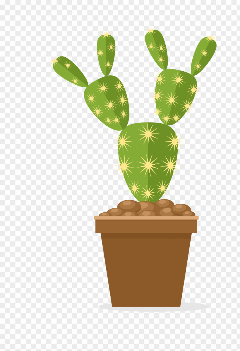 Cartoon Cactus Prickly Pear Cactaceae Flowerpot Nopal PNG