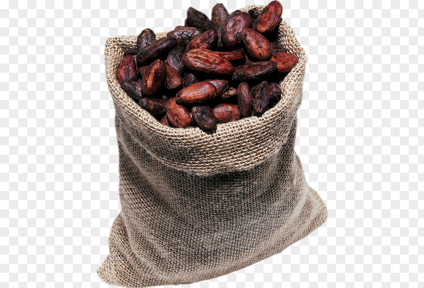 Chocolate Cocoa Bean Cacao Tree Solids Tablette De Chocolat PNG