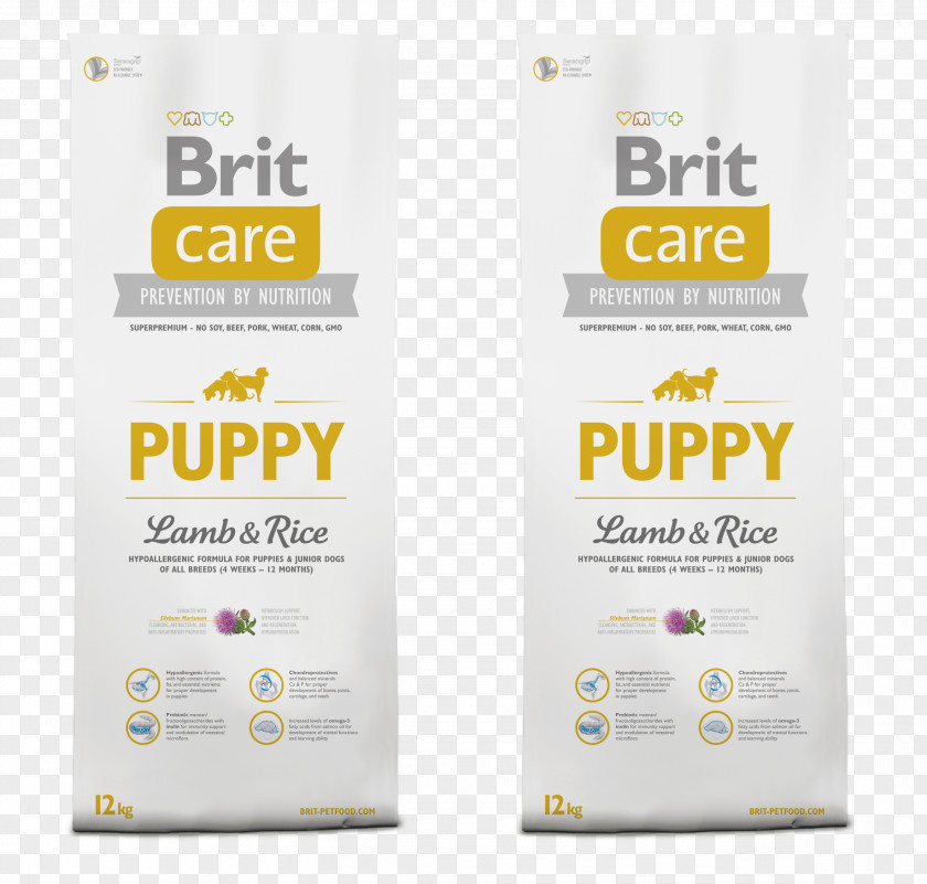 Elderly Care Puppy Dog Food Cat Breed PNG