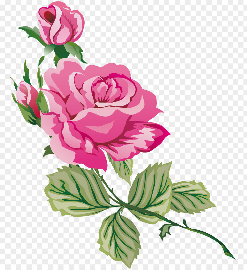 Flower Garden Roses Cabbage Rose Blue Clip Art PNG