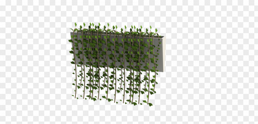 Garden Wall Plant Vine Computer-aided Design .dwg PNG