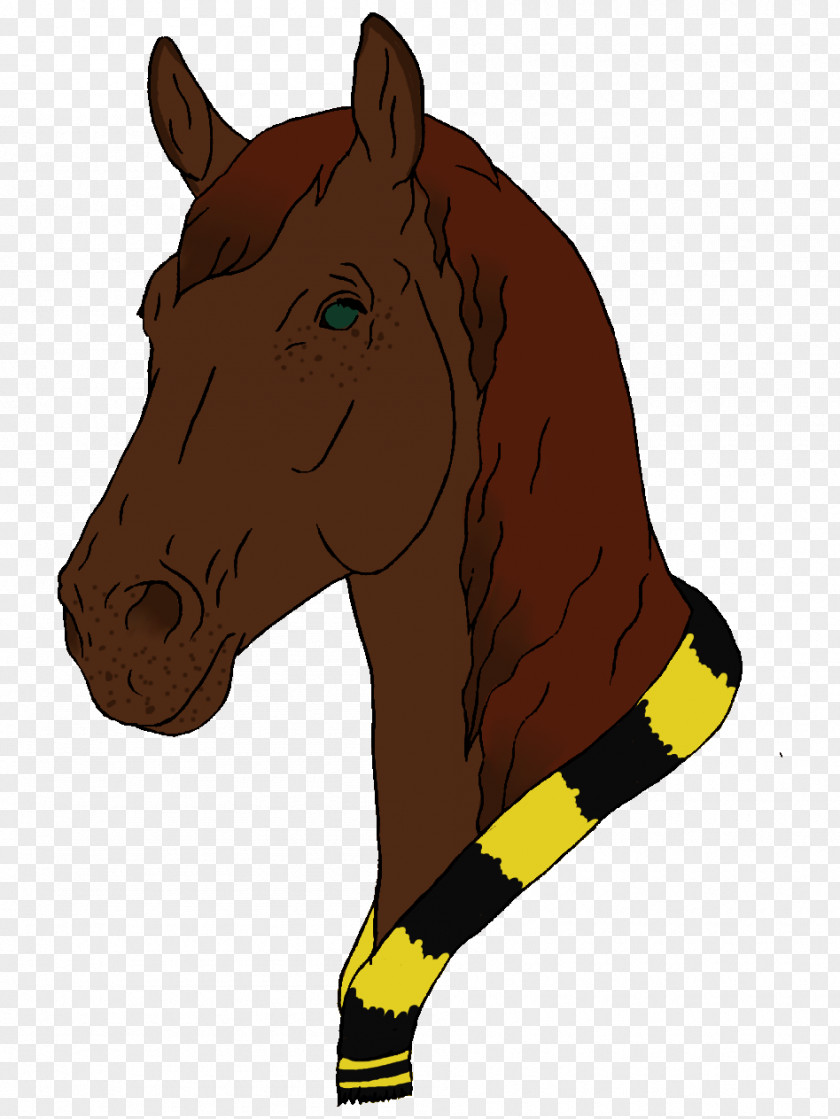 Mustang Stallion Halter Rein PNG