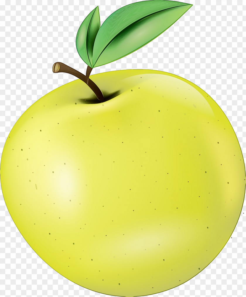 Tree Granny Smith Fruit Green Leaf Plant Apple PNG