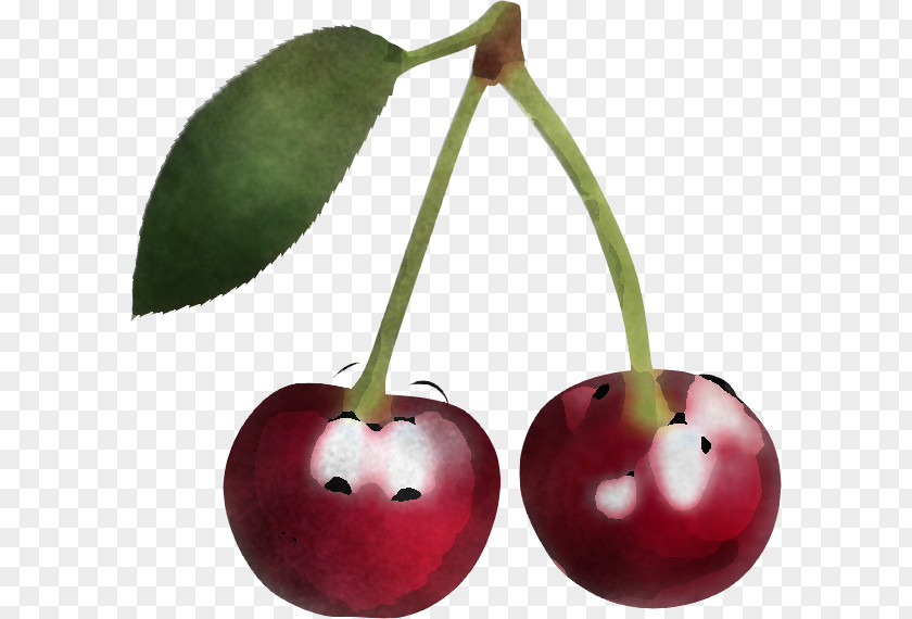 Cherry Plant Fruit Tree Food PNG
