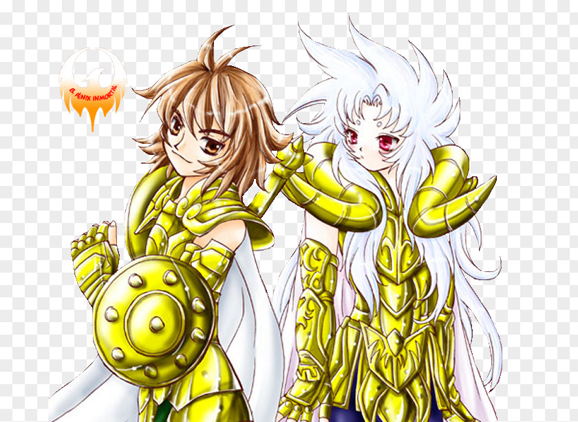 Fenix Vetor Athena Saint Seiya: Knights Of The Zodiac Cavalieri D'oro Shaka Armature PNG