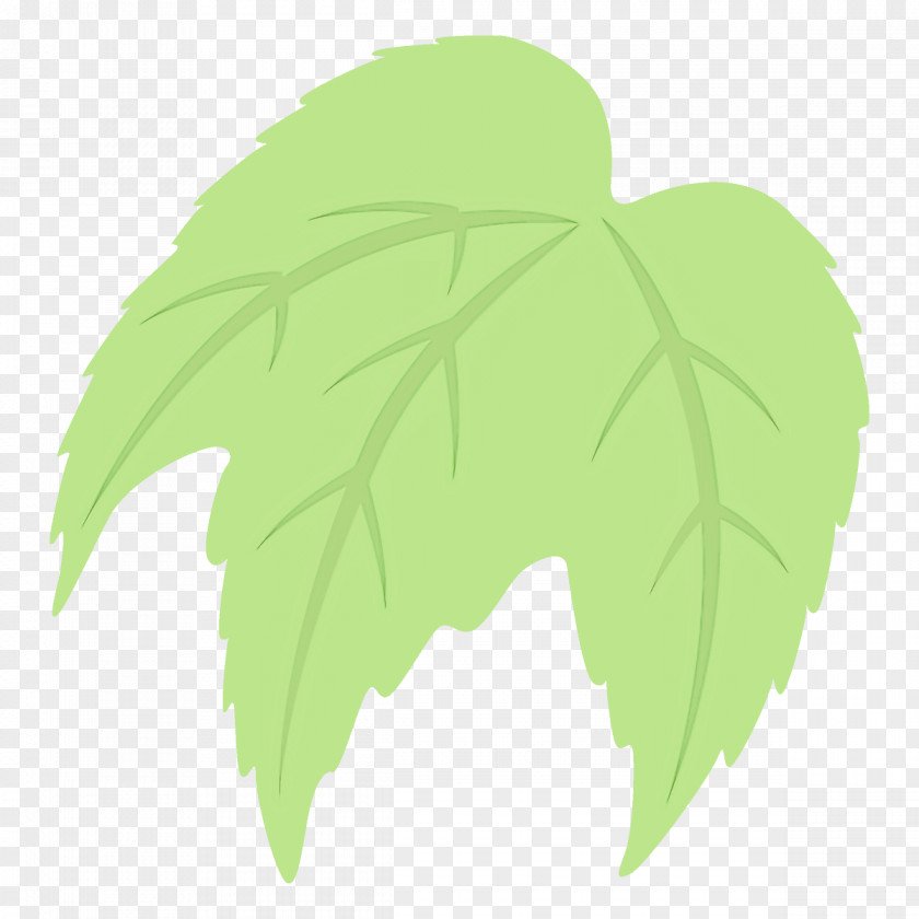 Herb Plane PNG