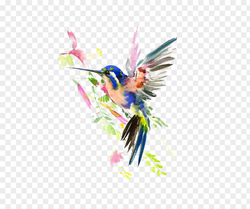 Hummingbird Tattoo Watercolor AllPosters.com Work Of Art Painting PNG