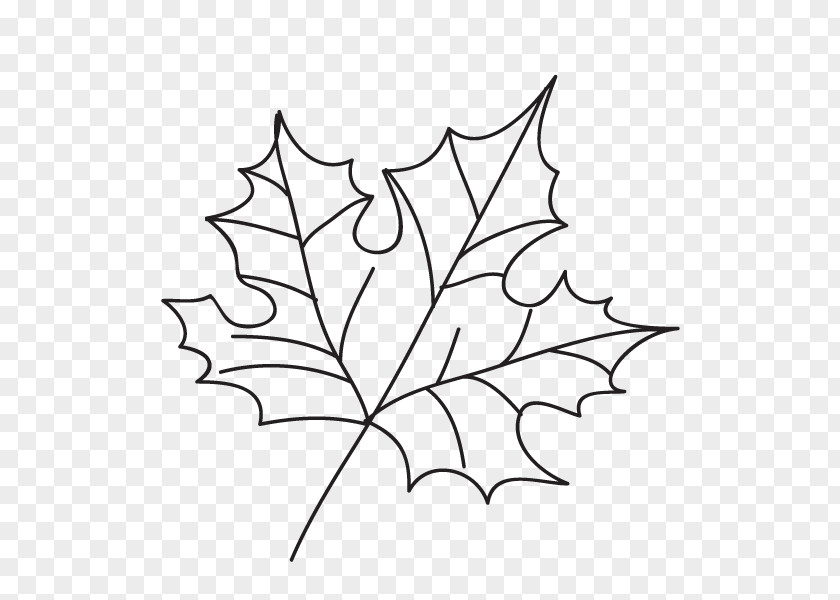 Leaf Maple Tattoo EasyTatt Line Art PNG