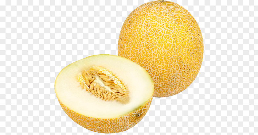 Melon PNG clipart PNG