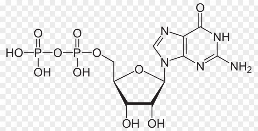 Molecular Structure Cyclic Adenosine Monophosphate Triphosphate Diphosphate Second Messenger System PNG