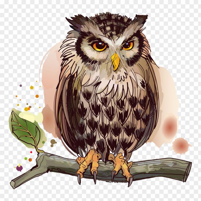Owl On A Tree Branch Bird Stock Illustration PNG