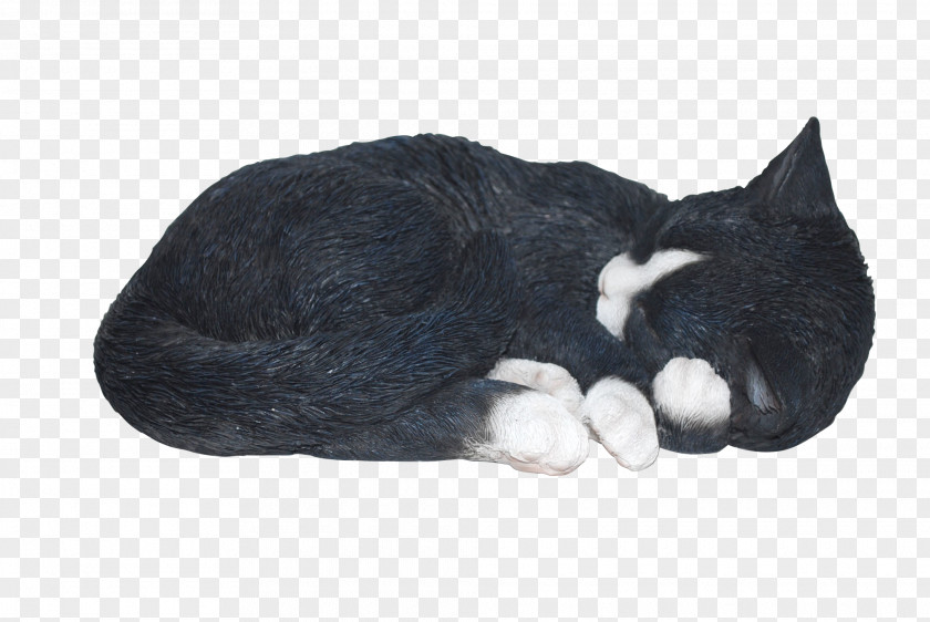 Sleeping Tabby Cat Kitten Ornament Art PNG