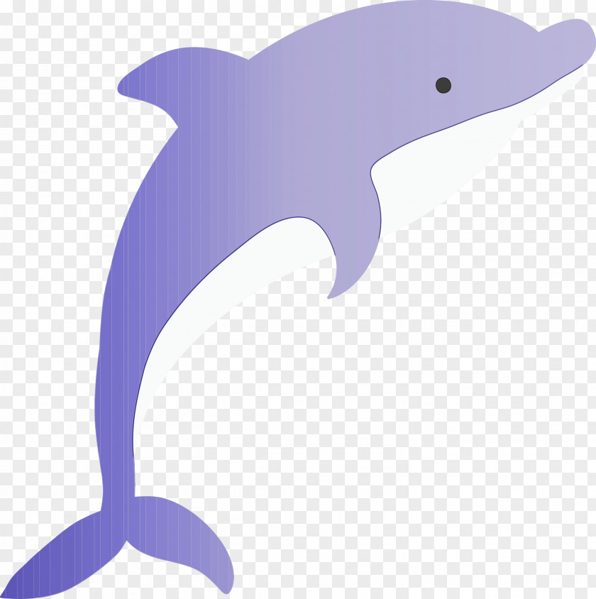 Dolphin Bottlenose Cetacea Fin Animal Figure PNG