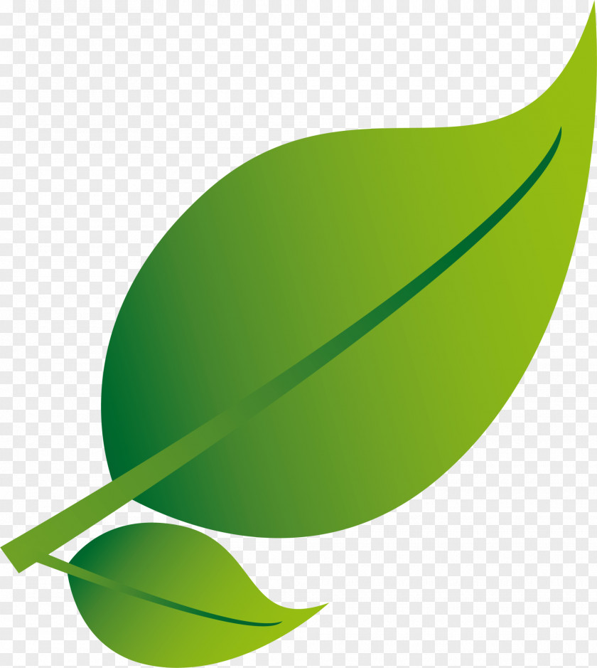Fresh Green Leaves Google Images Brown PNG
