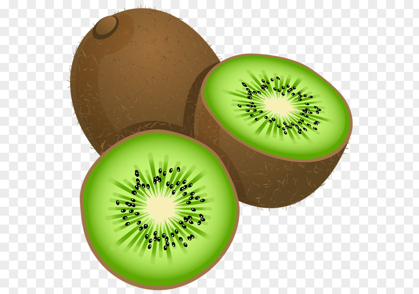 Kiwi Kiwifruit Clip Art PNG