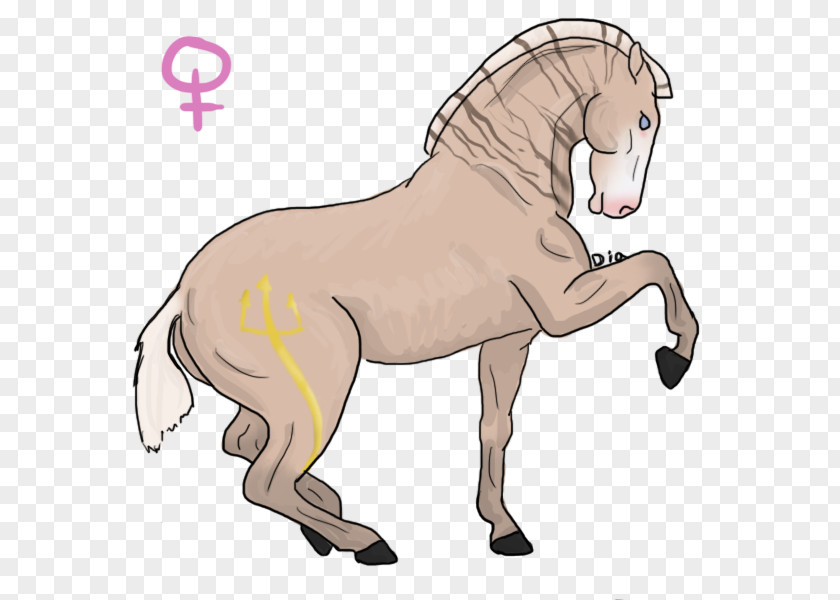 Mustang Mule Pony Stallion Mane PNG
