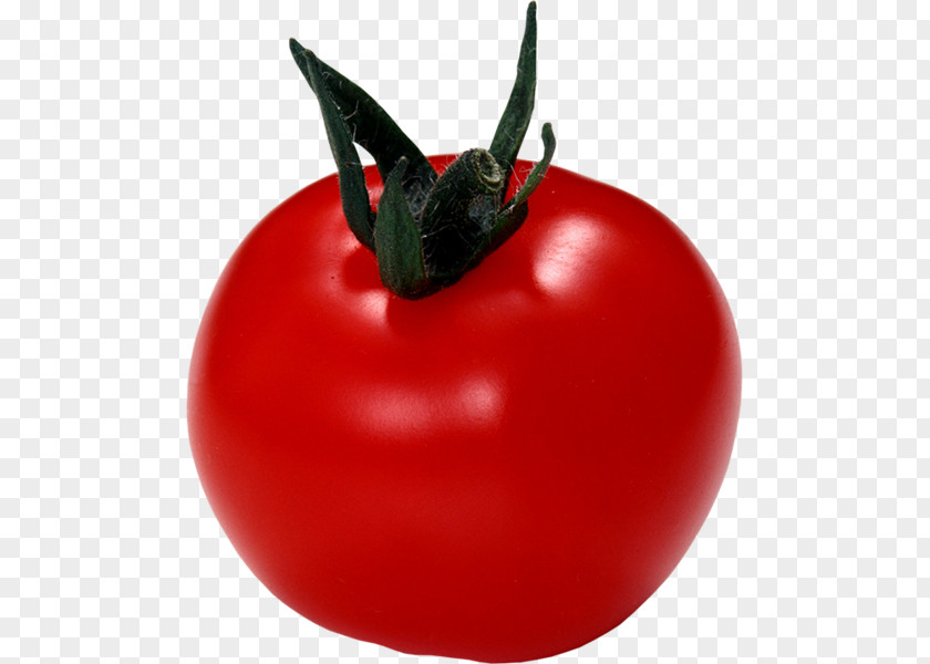 Vegetable Italian Cuisine Cherry Tomato Greek Salad PNG