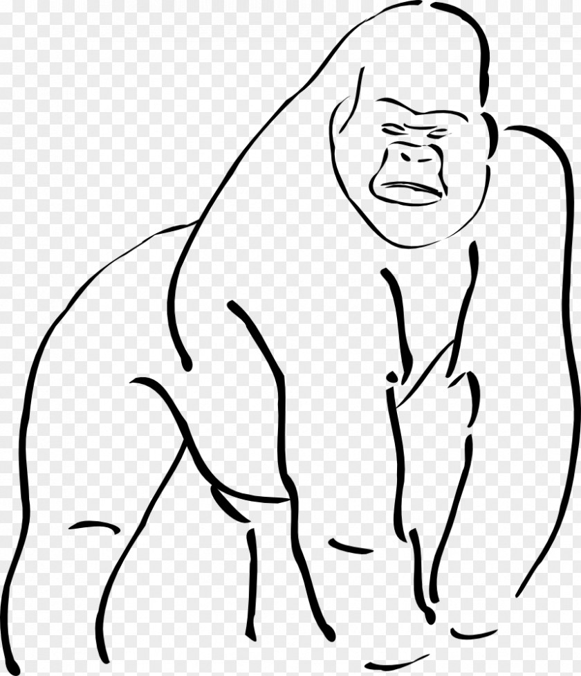Gorilla Mountain Ape Drawing Clip Art PNG