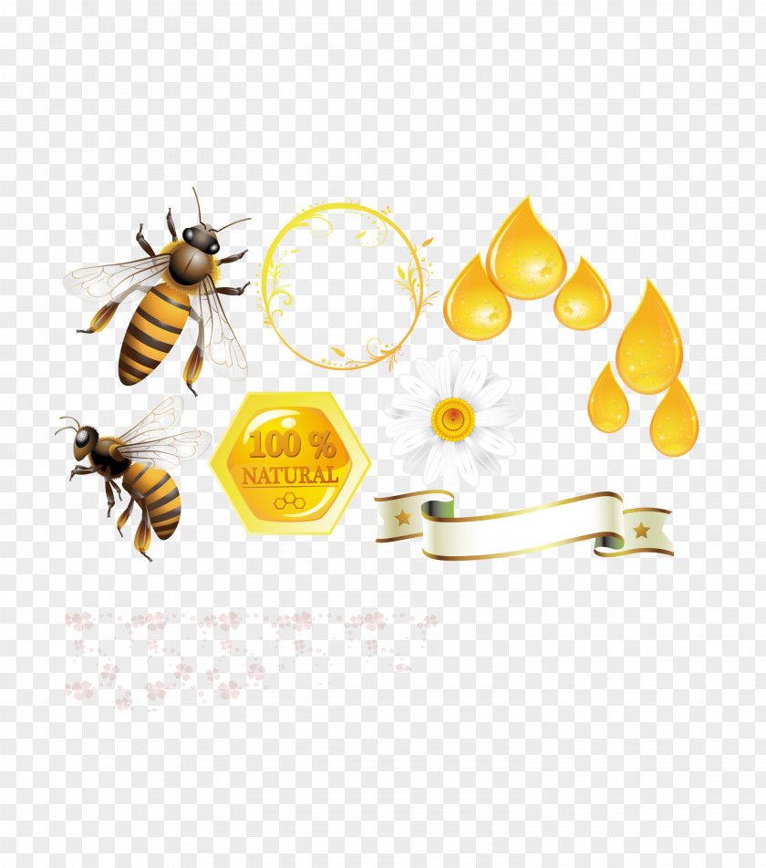 Honey Bee Hive Template Download Beehive PNG