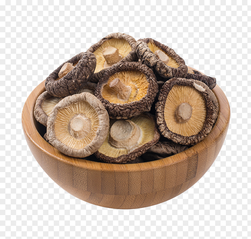 Mushrooms Dry Goods Xinyang Maojian Tea Sea Cucumber As Food Shiitake PNG