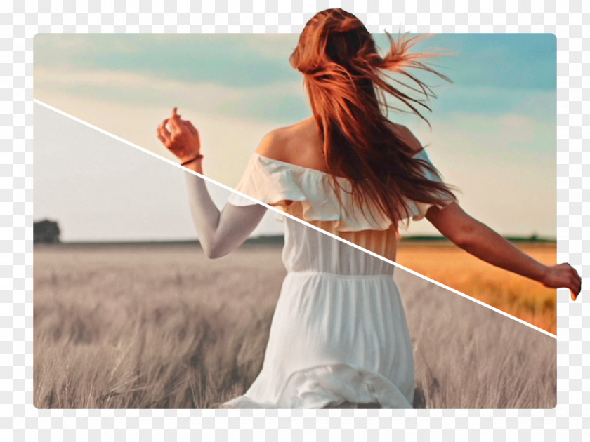 Photographer Animation Raw Video PNG