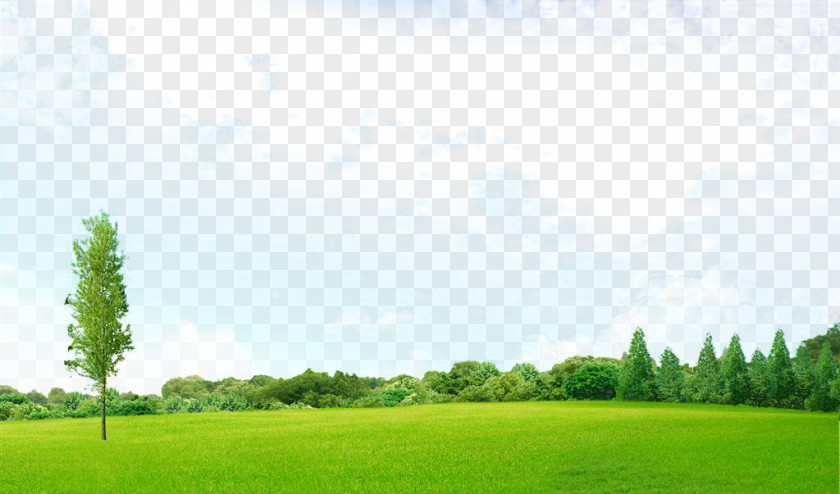 Sky Meadow PNG meadow clipart PNG