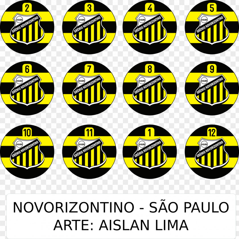 Campeonato Paulista Santos FC Button Football Logo PNG