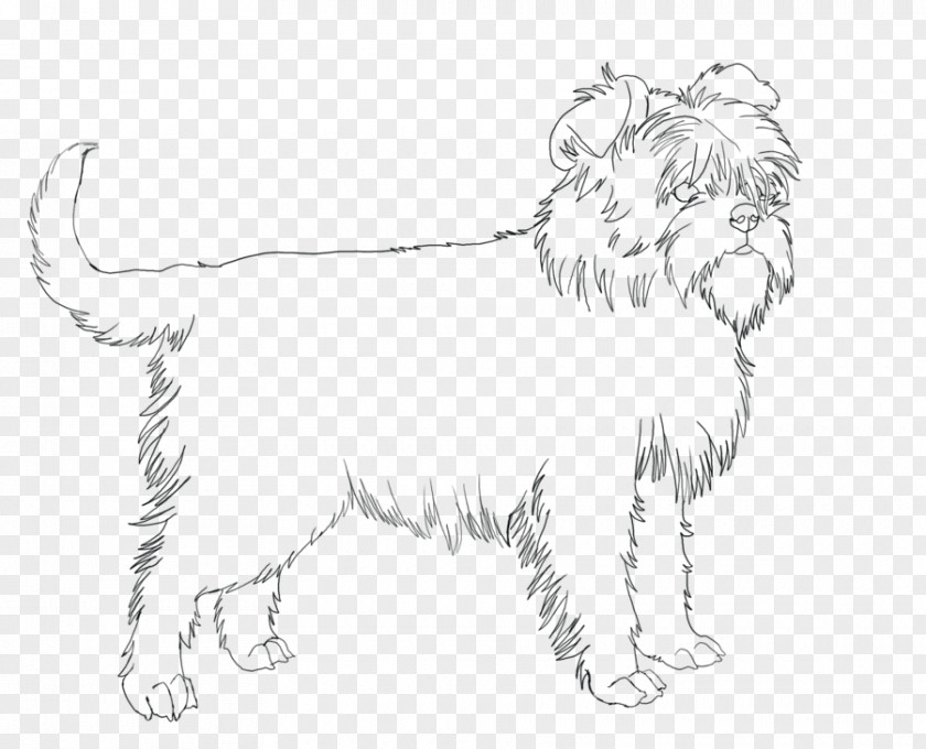 Cat Dog Breed Whiskers Paw PNG