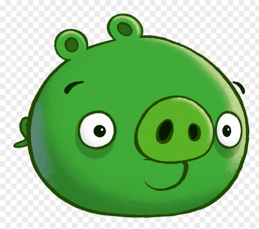 Cut The Rope Wiki Angry Birds Epic Go! Bad Piggies Domestic Pig Talent PNG