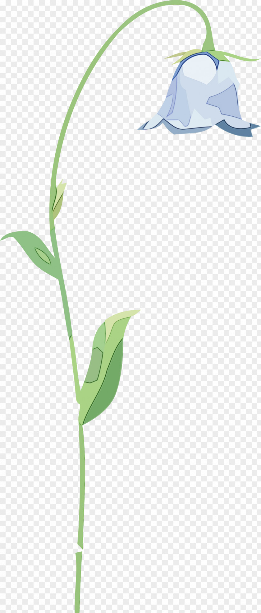Flower Plant Stem Grasses Leaf Lilac PNG