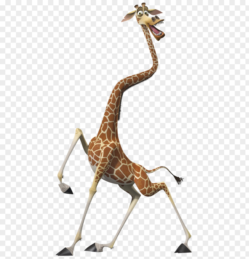 Giraffe Melman Gloria Alex Madagascar Character PNG