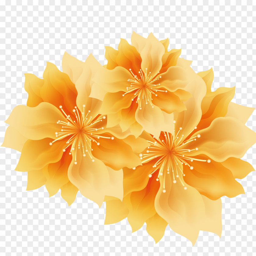 Golden Flower Yellow Flowers PNG