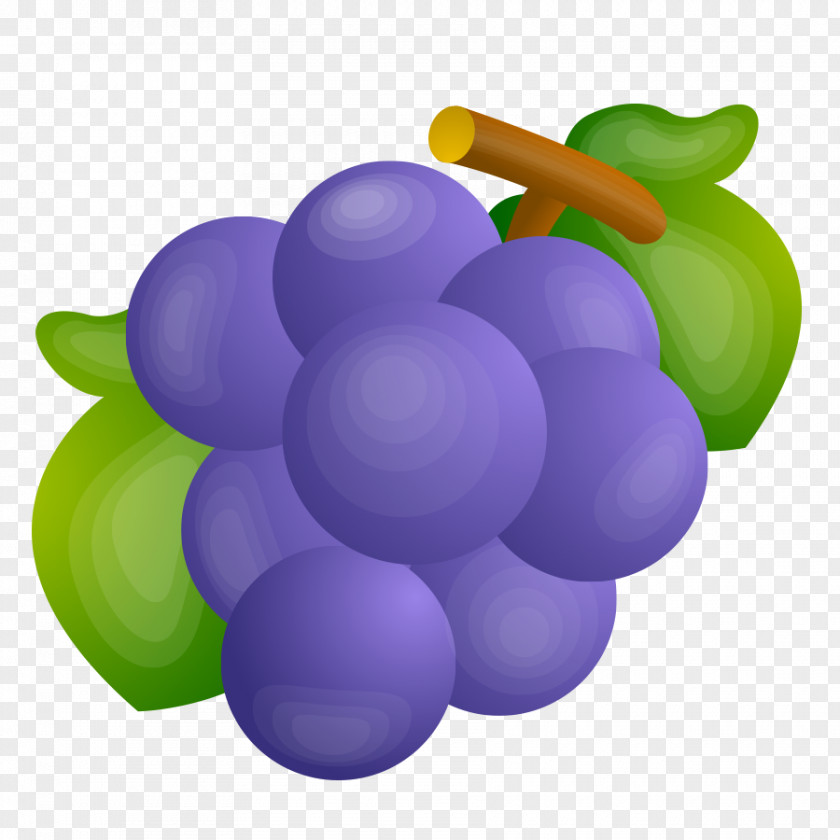 Grape Image JPEG Design PNG
