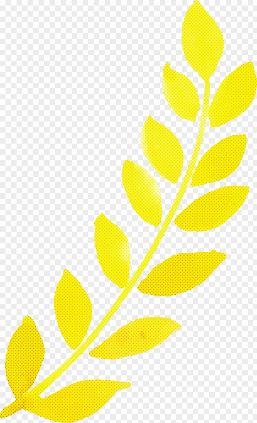 Leaf Plant Stem Twig Petal Yellow PNG