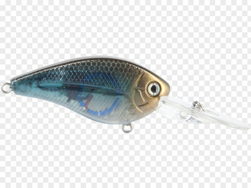 Northern Pike Spoon Lure Fish AC Power Plugs And Sockets PNG