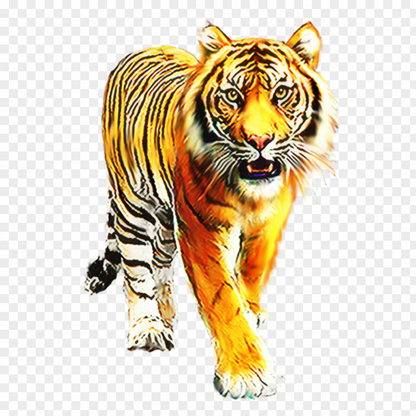 Tiger Cat Whiskers Roar PNG