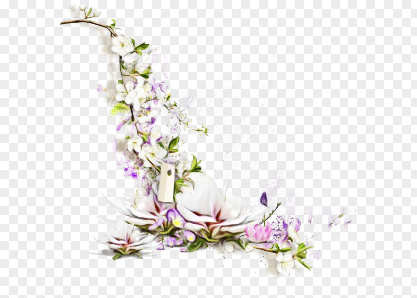 Twig Dendrobium Flower Plant Lilac Purple Violet PNG