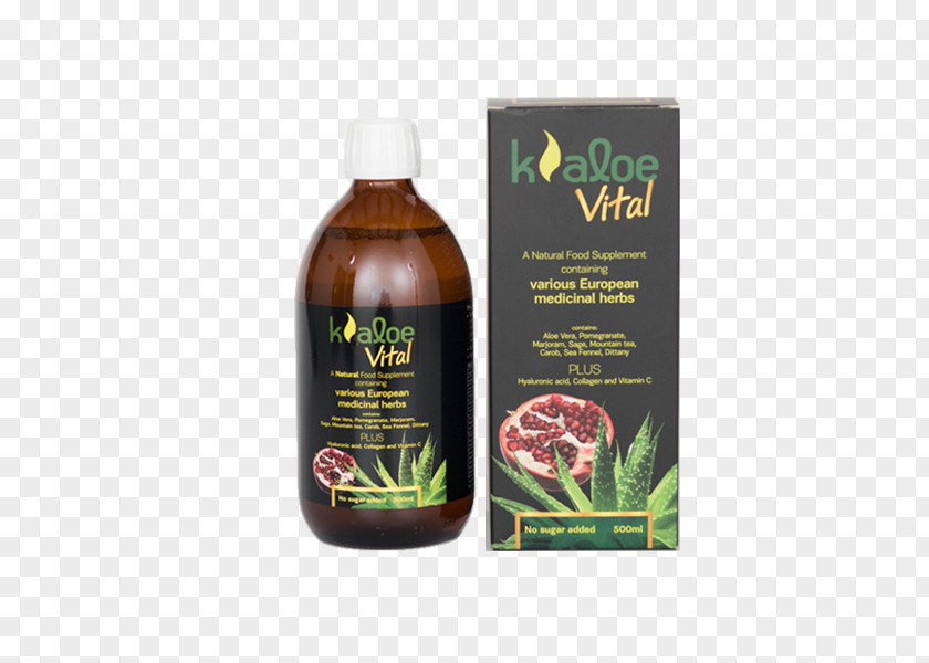 Aloe Vera Collagen Hyaluronic Acid Gel Food PNG