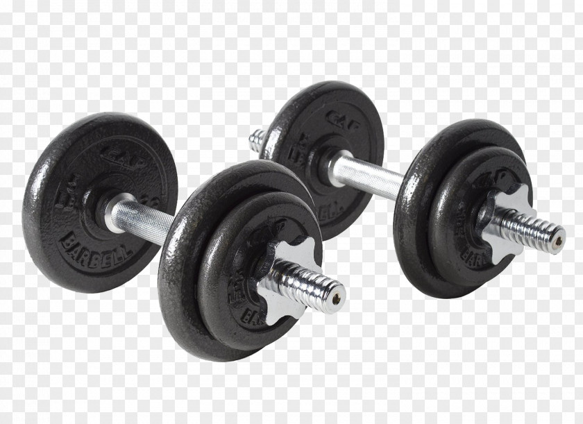 Barbell Dumbbell Weight Training Bench Exercise Equipment PNG
