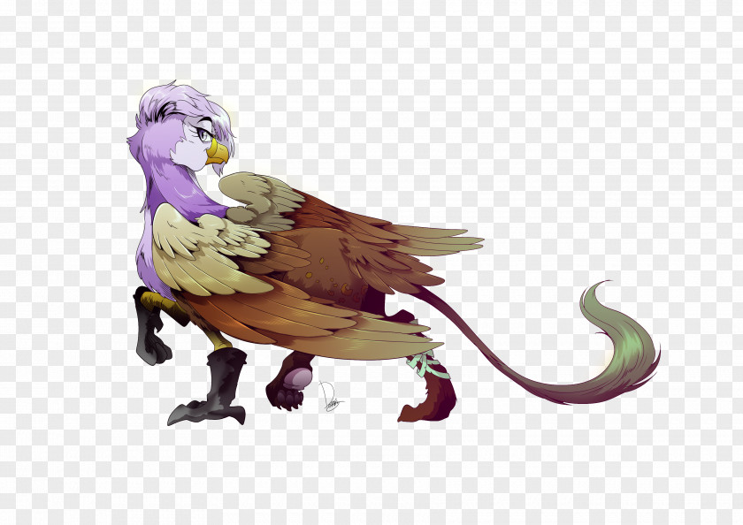 Bird Of Prey Beak Illustration Character PNG