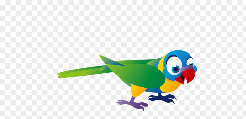 Birds Parrot Bird PNG