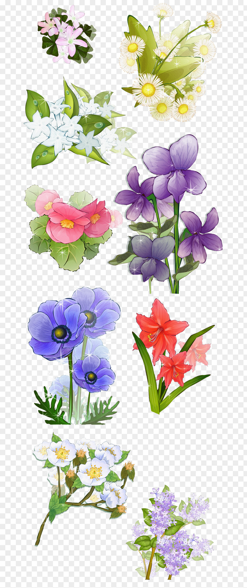 Bloom Floral Design Cut Flowers Bellflower Plant Stem PNG