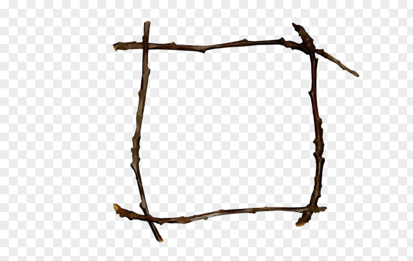 Branch Twig Plant PNG