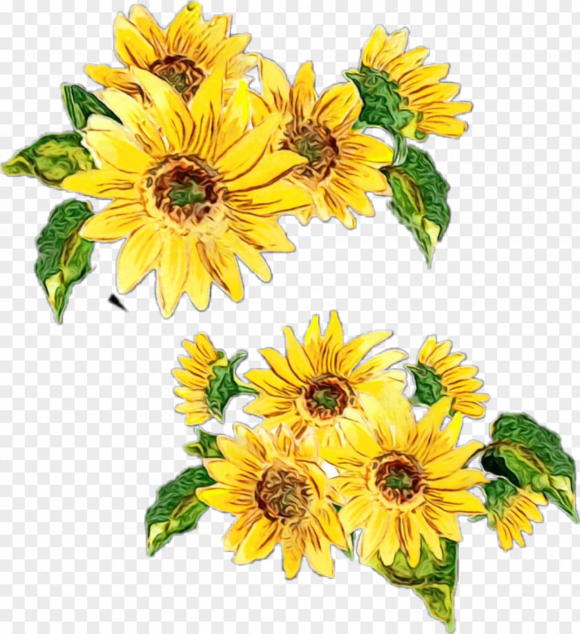 Floral Design PNG