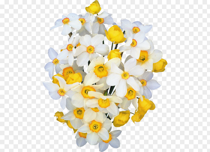 Gift Cut Flowers Flower Bouquet Woman PNG