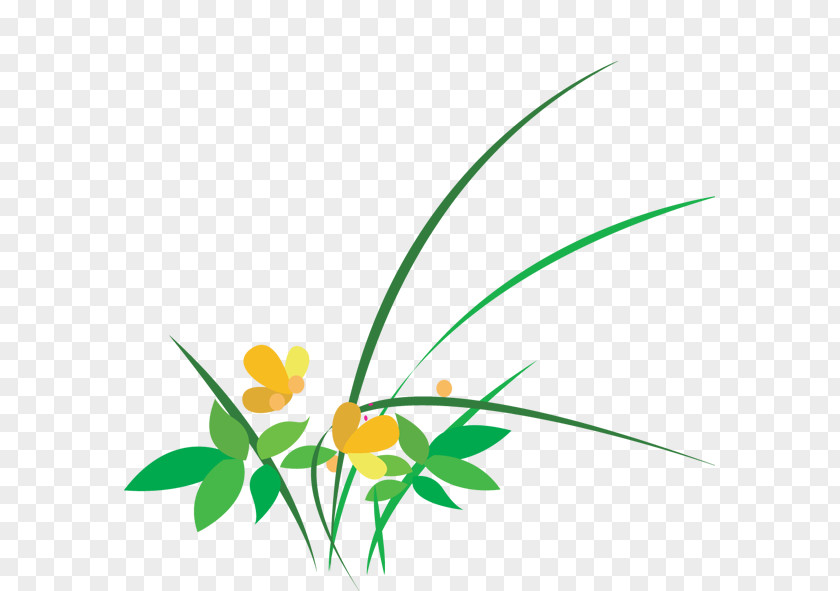 Grass Flower PNG