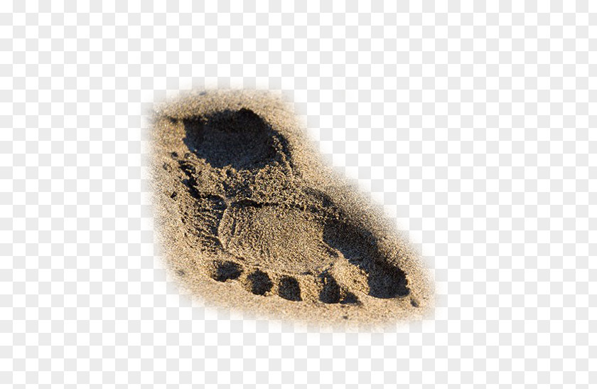 Men's Beach Footprints Yalong Bay Sand PNG