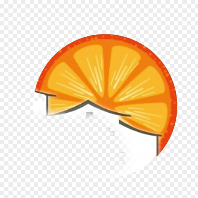 Orange Icon PNG