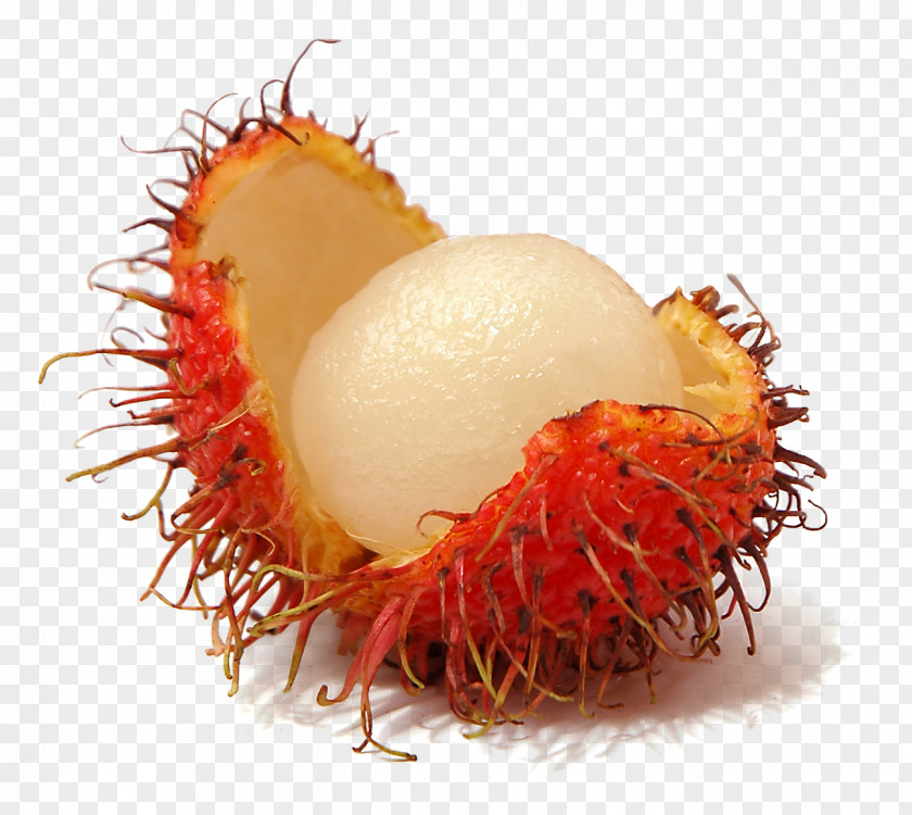 Rambutan Fruit Pitaya PNG