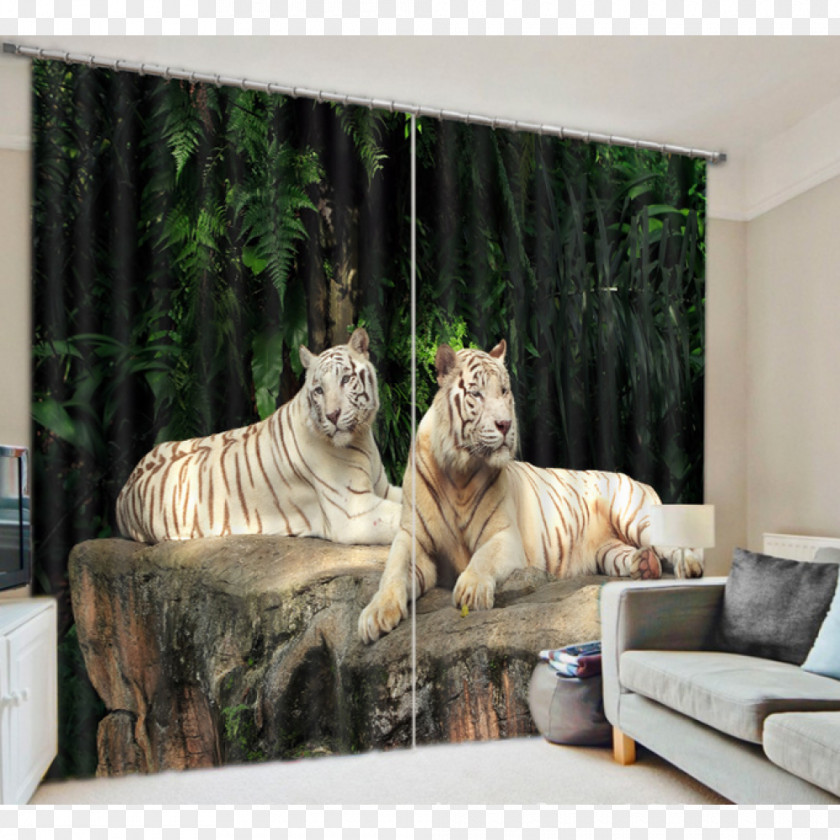 Tiger Window Blinds & Shades Treatment Cat PNG